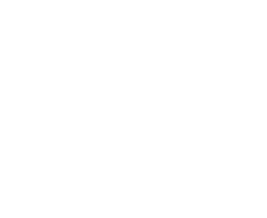 Dette er logoet for Emeyu