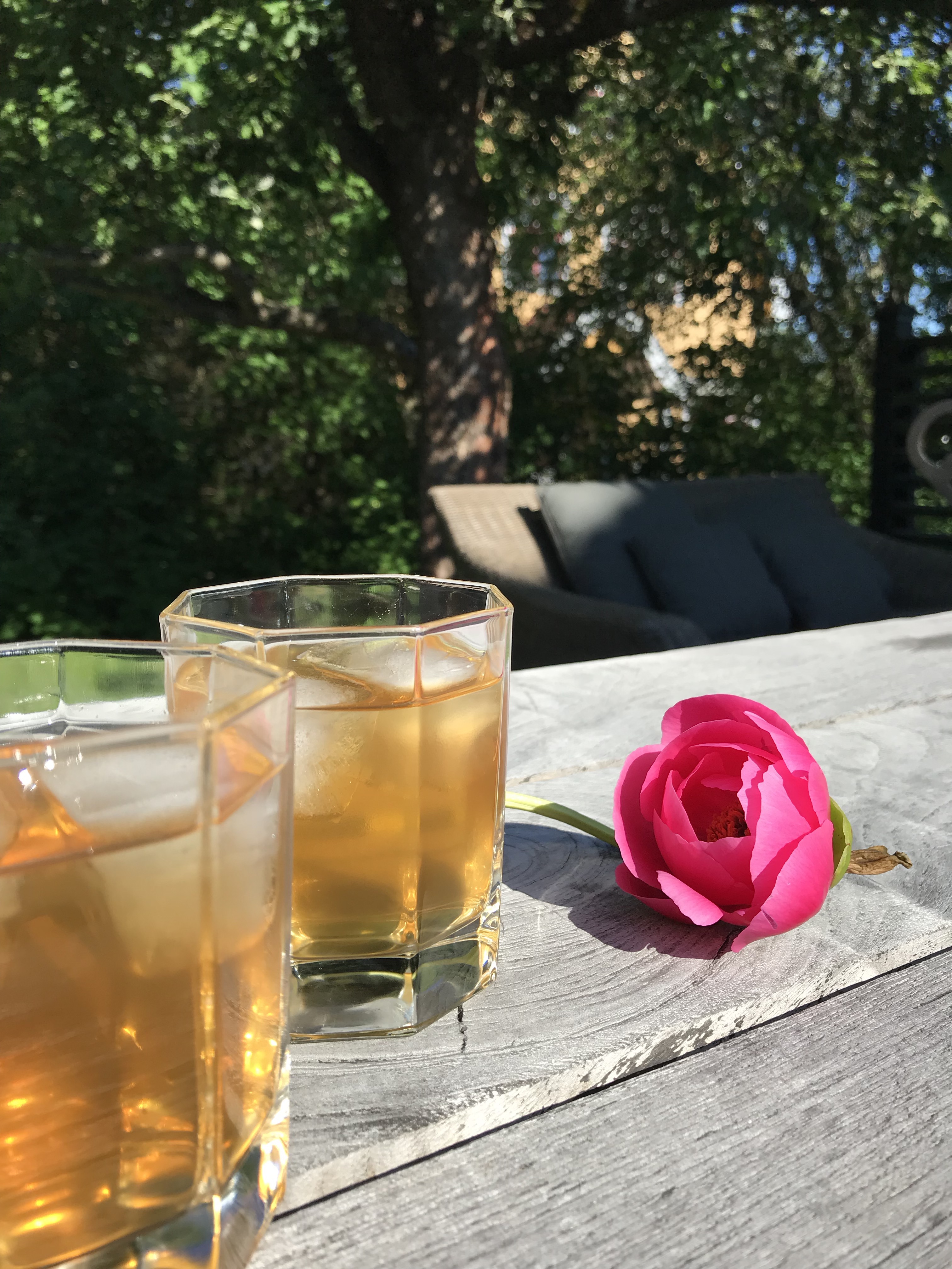 Et billede af vores te, Empiric Sky, som iste i en Gin og Tonic.