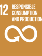 THE UN’s SUSTAINABLE DEVELOPMENT GOALS SDG 12 Responsible consumption and production