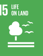THE UN’s SUSTAINABLE DEVELOPMENT GOALS SDG 15: Life on land
