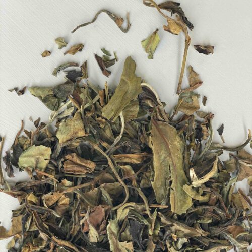 Forfriskende, ren og mild, Northern Grace, økologisk hvid te, Pai Mu Tan.